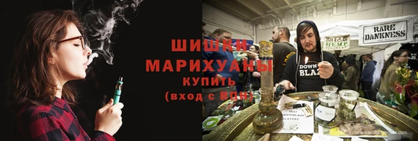 прущие грибы Карпинск
