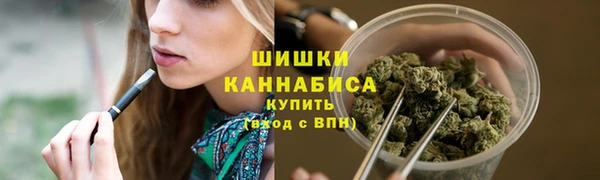 дживик Касимов