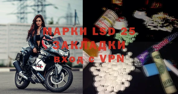 прущие грибы Карпинск