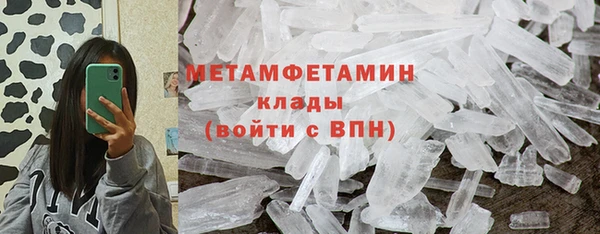 прущие грибы Карпинск