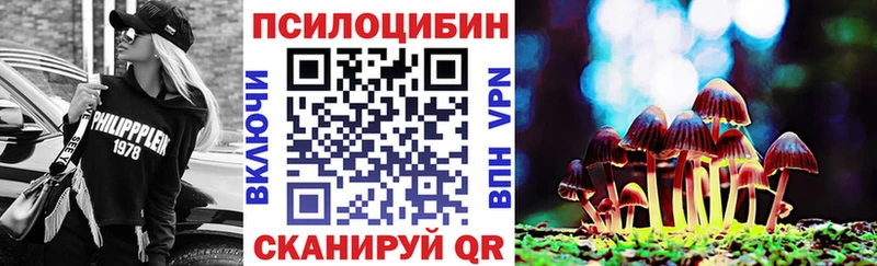 даркнет сайт  Нерчинск  Псилоцибиновые грибы Cubensis 